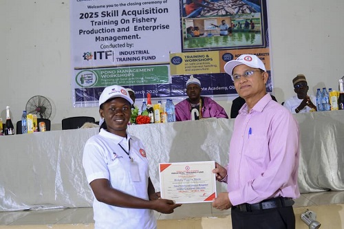 Dangote cement in Obajana