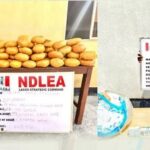 NDLEA arrests Lagos politician for drug trafficking